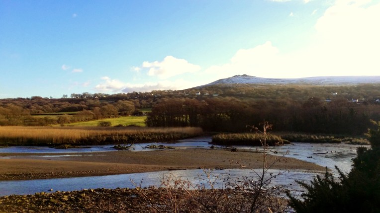 Stunning Newport Estuarty