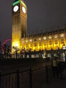 Me having made it past security at the Houses of Parliament.